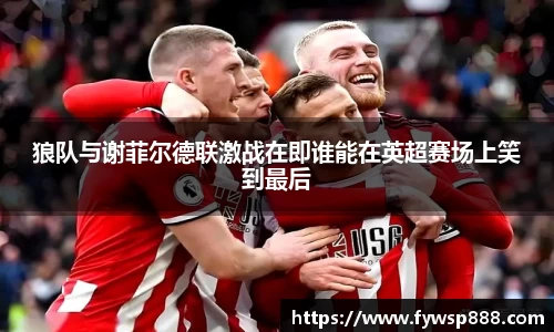 狼队与谢菲尔德联激战在即谁能在英超赛场上笑到最后
